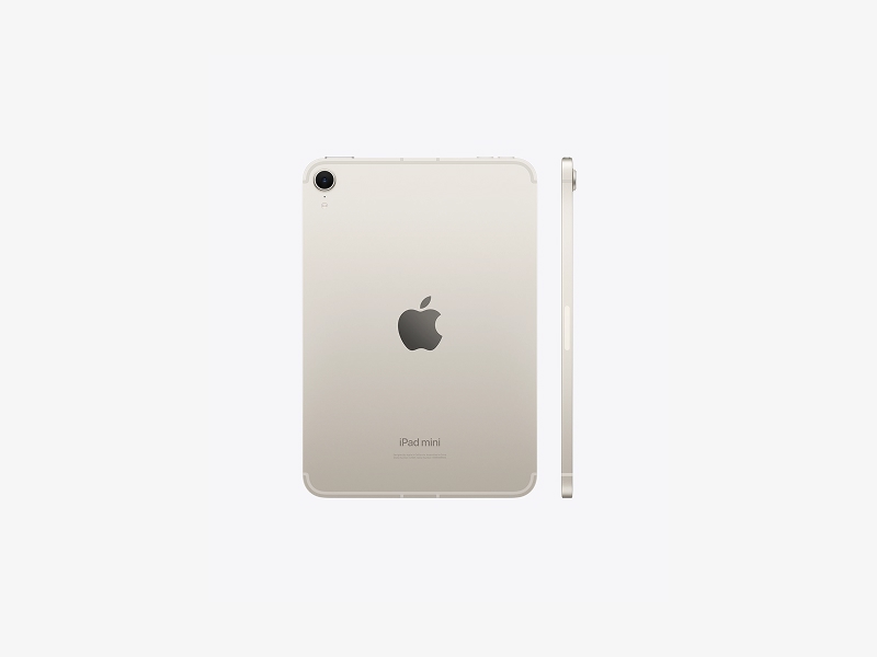 iPad mini